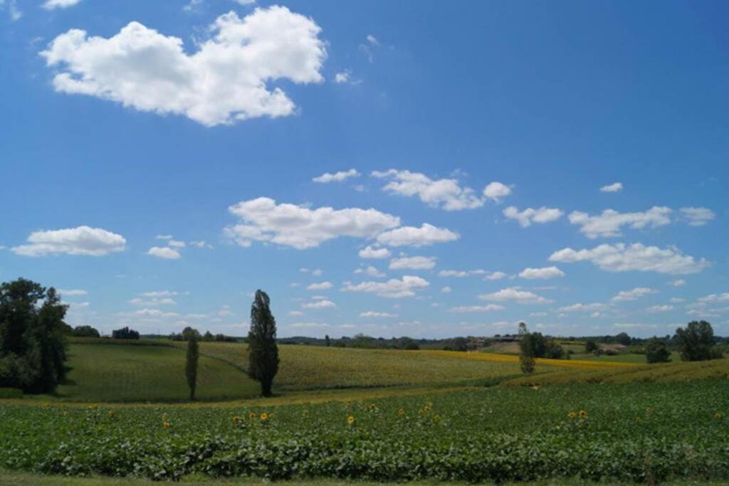 Gite Rural Saint-Pierre-sur-Dropt Extérieur photo